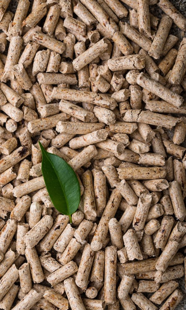 Eco fuel wooden pellets with firewood