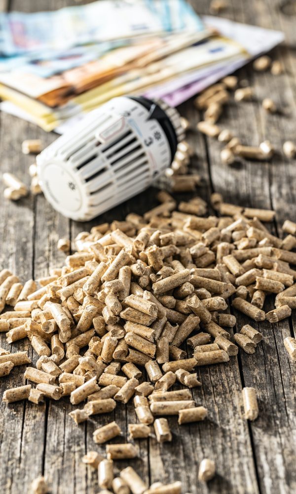 Wooden pellets, euro banknotes and thermostatic head. Ecologic heating.